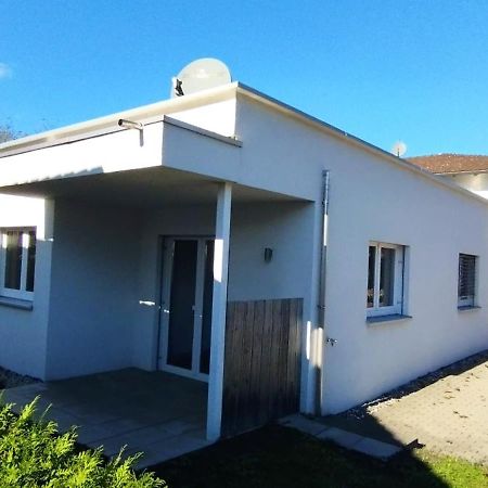 Crown Living Design Apartment - Gratis Parkplatz - Wlan - Kueche - Self Check-In Altach Dış mekan fotoğraf